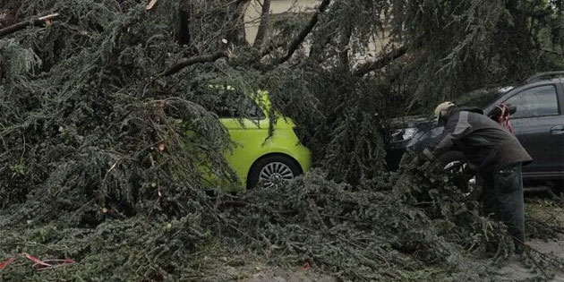 Fransa'da f�rt�na nedeniyle 2 ki�i �ld�, 53 bin hane elektriksiz kald�