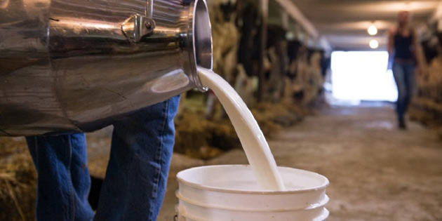 Y�ZDE 19 ZAM GELD� 