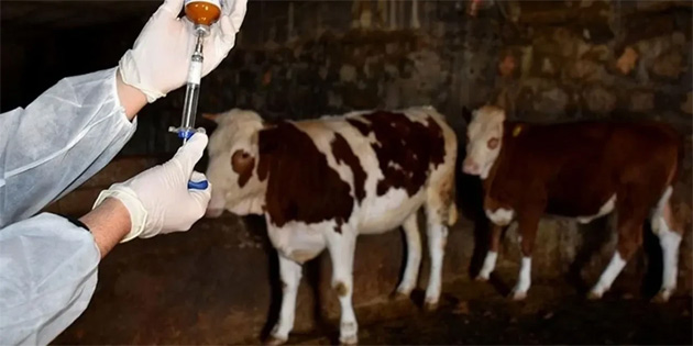 �NG�LTERE KKTC’DEK� �AP HASTALI�INI TAK�BE ALDI! 