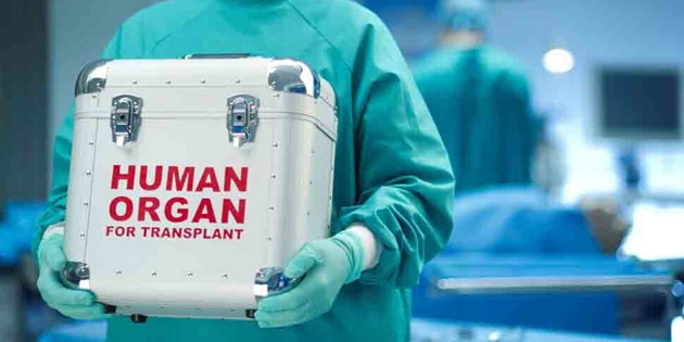 EUROPOL’�N ORGAN T�CARET� SORU�TURMASI G�NEY’E UZANDI 