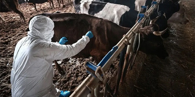 AB’YE DAVA A�MA HAZIRLI�I 