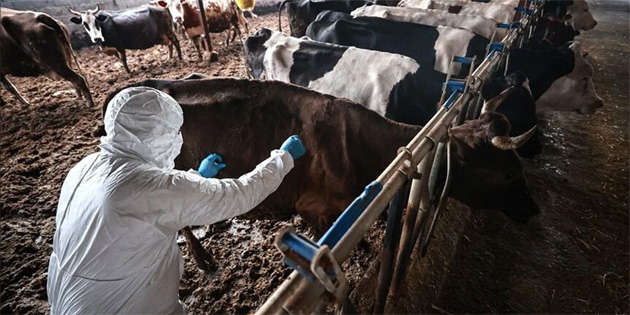 �AP HASTALI�INA KAR�I KKTC’DE DE AB KURALLARININ UYGULANMASI �STEND� 