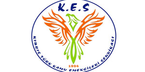 Kamu Emek�ileri Sendikas�: “T�pta merkezi s�nav ve etkin denetim �art”<