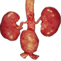 yakin arkadas kibris is ilanlari sahibinden