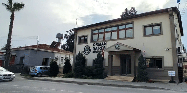 Orman Dairesi Mdrl: Boazky’deki aa kesimi izinsiz yapld