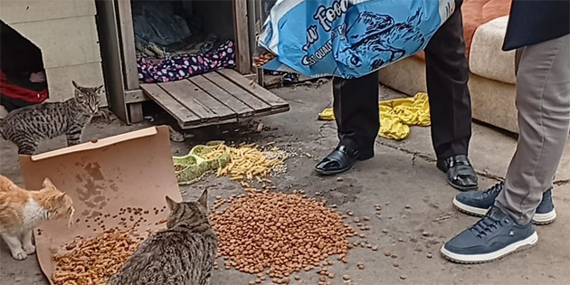Do�ay� ve Canl�y� Koruma Derne�i, sokak hayvanlar�n� besledi