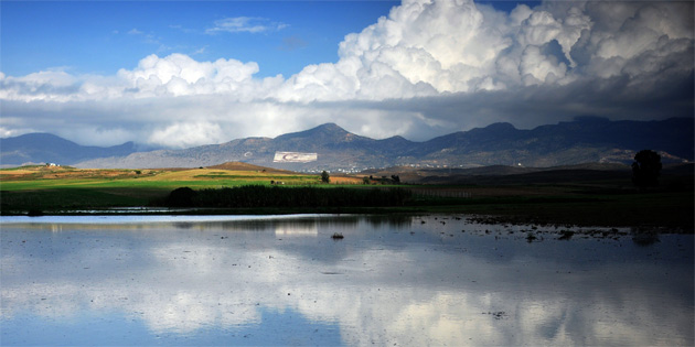 Sandallar 21, Kalkanl� 19, Ye�il�rmak 15 kg ya��� ald�