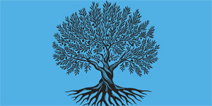 TAM Parti: “9 yandaki C.O.A’nn lm ile ilgili tm detaylar ivedilikle akla kavuturulmal”