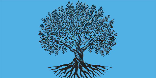 TAM Parti: “9 yandaki C.O.A’nn lm ile ilgili tm detaylar ivedilikle akla kavuturulmal”