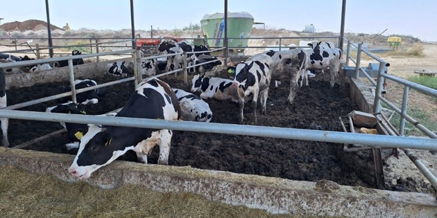 57 B�N 576 DOZ A�I UYGULANDI! 