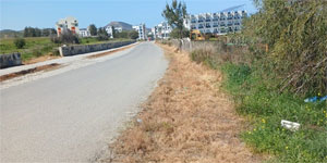 Lefke �evre ve Ekoloji Derne�i: Ot kurutma ila�lar� ku�lar� �ld�r�yor, ekosisteme zarar veriyor