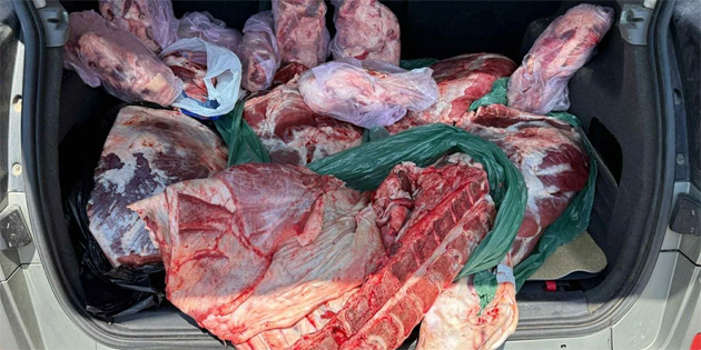 Kprl’de bir kamyonette 195 kilo kaak et bulundu