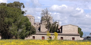 K�lt�rel Miras Teknik Komitesi, St. Barnabas Manast�r�’nda bulunan kilise binas�nda �al��ma ba�latt�