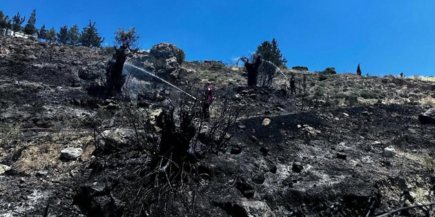 TA�KENT’TE KORKUTAN YANGIN S�ND�R�LD� 