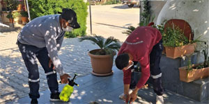 Mesarya Belediyesi ha�ereyle m�cadele �al��malar�n� s�rd�r�yor