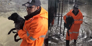 Yenikent’te su ta�k�n�nda mahsur kalan k�pekler kurtar�ld�