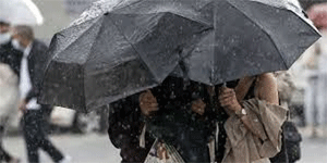 Beylerbeyi'ne 232 kilogram ya��� d��t�