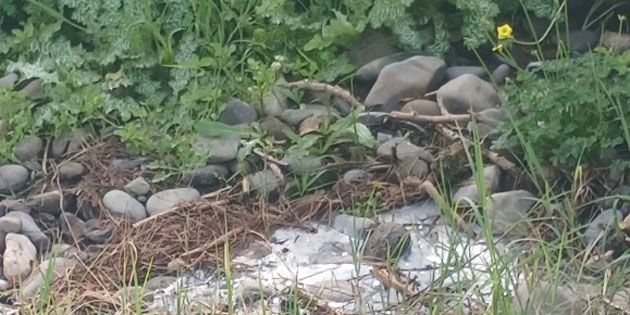 Lefke �evre ve Ekoloji Derne�i: “Gemikona�� Deresi’ni kaplayan foseptik kirlili�i �� ayd�r oldu�u gibi duruyor”