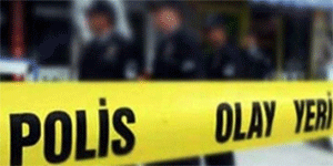 Park halindeki iki aratan hrszlk