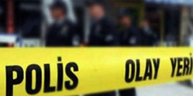 Park halindeki iki aratan hrszlk