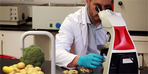 Yerli biber ve kerevizde tavsiye d��� bitki koruma �r�n�