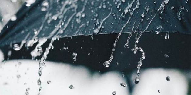 Alevkayas�'na 49 kilogram ya��� d��t�