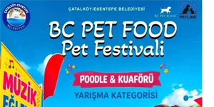 Alagadi’de evcil hayvanlar i�in festival d�zenleniyor