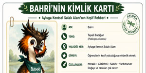 MAKAMER, ��retmenlere y�nelik Ayluga Sulak Alan� e�itimi d�zenliyor