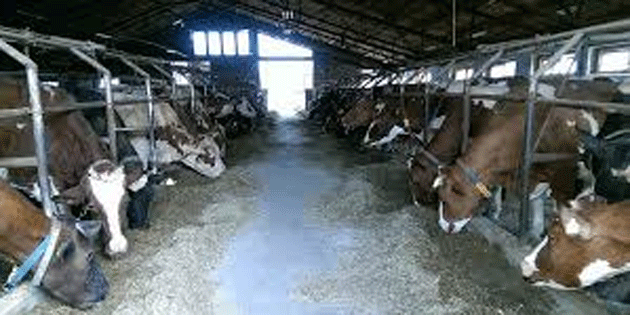 Gda Mhendisleri Odas’ndan ap hastal uyars