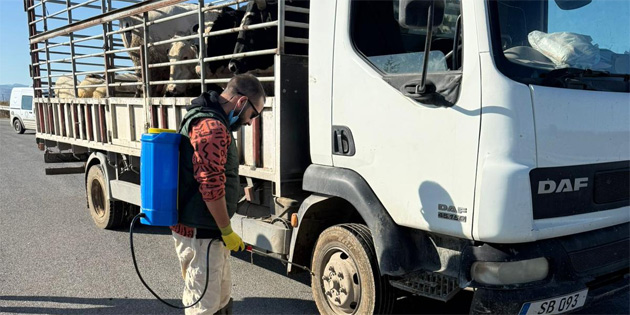 Lefke Belediyesi, �ap hastal���na kar�� dezenfeksiyon uygulamas� ba�latt�