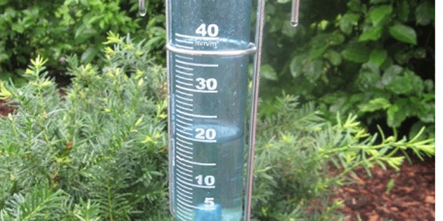 En �ok ya��� Karpaz b�lgesine d��t�