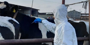 �avu� '�ap hastal��� G�ney'den ba�lad�' dedi, Yeorgiadu 'kan�t varsa iletsin' yan�t�n� verdi