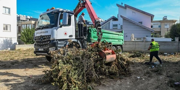 TEMZLK BR GNN DEL HER GNN  