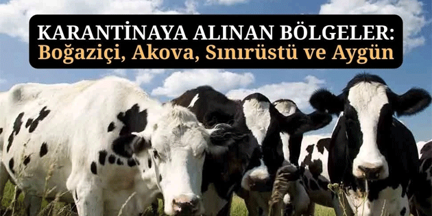 Bo�azi�i k�y� karantinaya al�nd�