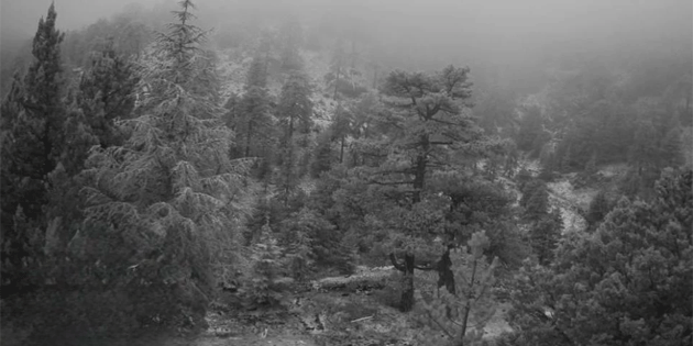 Trodos da�lar�na y�l�n ilk kar� d��t�