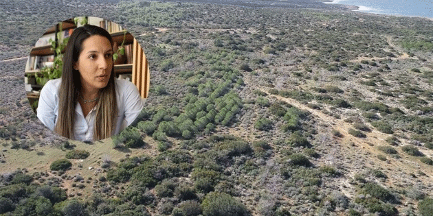 Feriha Tel: Meclis kimin ad�na yasa yap�yor?