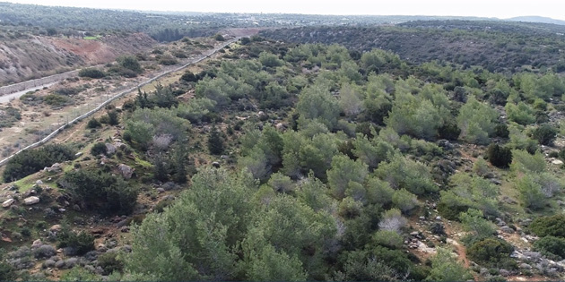 �lkede faliyet g�steren 62 kurulu�, 3 bin 500 d�n�m orman arazisinin devredilmesini ortak a��klamayla reddetti