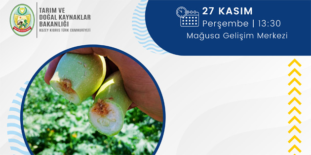 Tarm Bakanl reticiler iin eitim dzenliyor