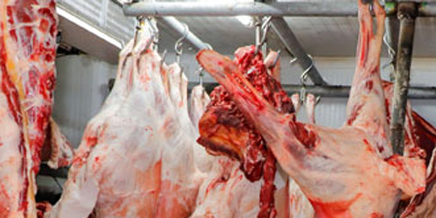 Beyarmudu Kara Ge�i� Kap�s�’nda 200 kilogram g�mr�ks�z mal tespit edildi