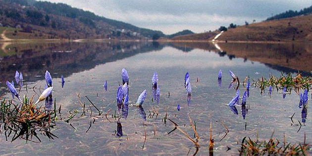 �kinci cemre suya d��t�