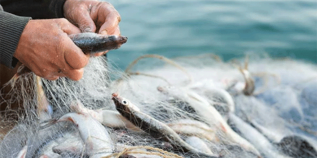 Tar�m ve Do�al Kaynaklar Bakanl���: Bal�k��l�k av malzemesi destek ba�vurular� 4 May�s’ta ba�l�yor