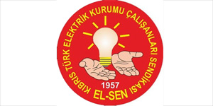 EL-SEN: “Lokman Hac�hasano�lu'nun �l�m�, m�nferit bir kaza olarak de�erlendirilemez”