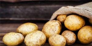 Patates ekim alanlar�na itiraz s�resi �ar�ambaya kadar uzat�ld�