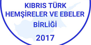 Hem�ireler ve Ebeler Birli�i, feribot facias� sonras� g�rev yapan t�m sa�l�k �al��anlar�na te�ekk�r etti