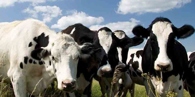 SINIRDA YEN� �NLEMLER ALINDI 