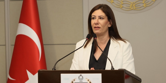 M�LK�YET MESELES� YARGIDA ��Z�LEMEZ 