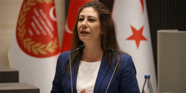 T�RK�YE’YE G�R�� YASAKLARIYLA �LG�L� DO�RU G�R���M SONU� VERD� 