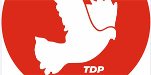 TDP: “Hem�irelerin ger�ek politikalarla desteklenmesi gerek”