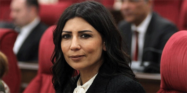 zdenefe: “Cumhurbakan yetkisini halktan alr, meru zeminde masadadr”