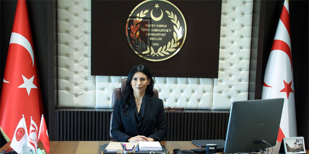 Meclis Ba�kan Yard�mc�s� �zdenefe: “AP, K�br�sl� T�rk kad�nlar� ve adadaki ger�ekli�i yok sayd�”